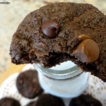 Recipe: Chocolate Chocolate Chip Cookies
