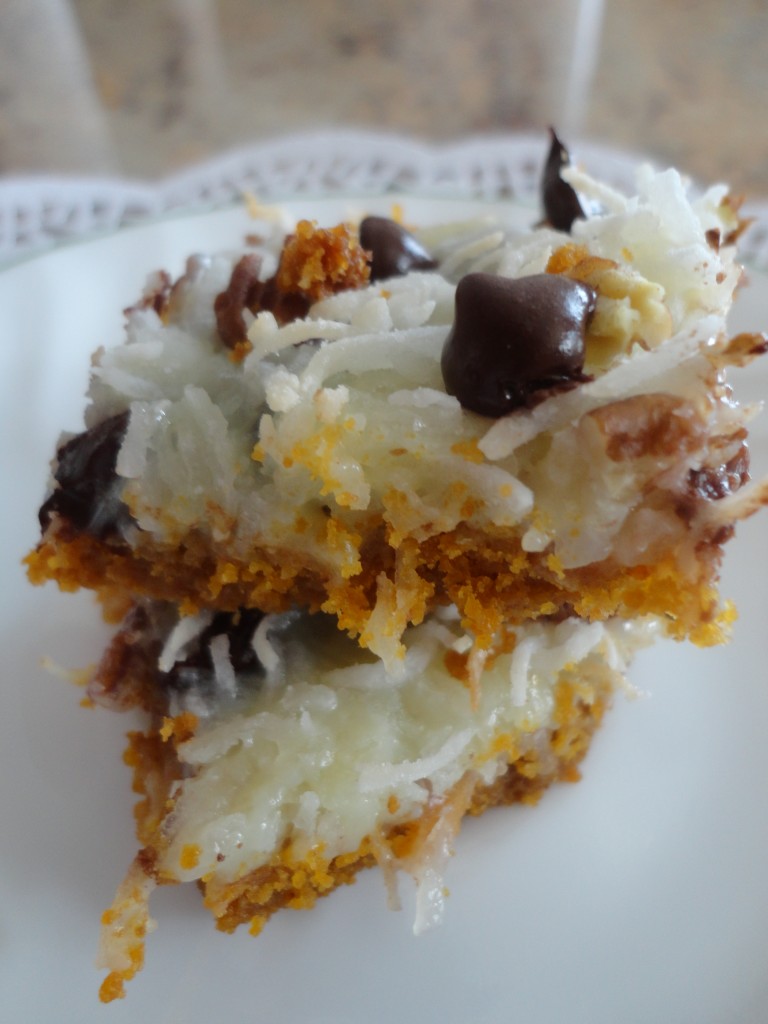 coconut and chocolate chip squares