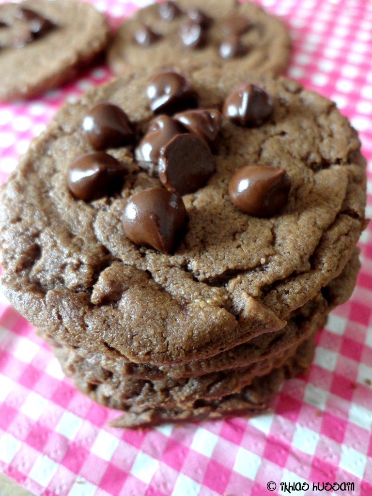 Chocolate Peanut Butter Cookies