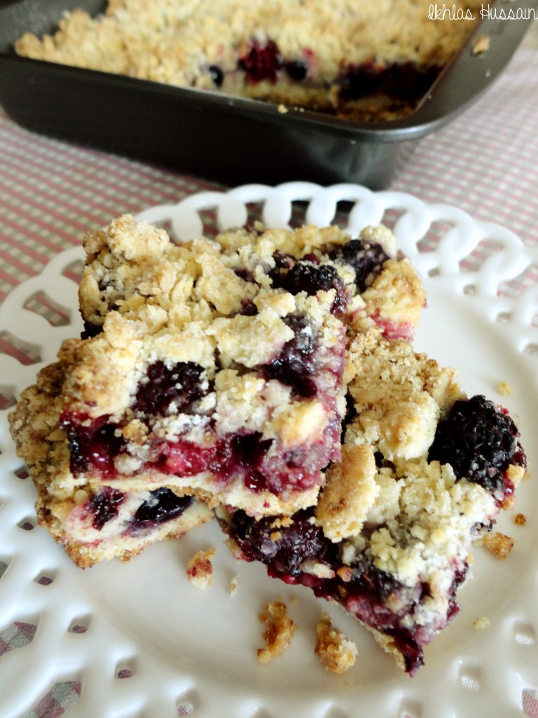 Berry Crumb Bars