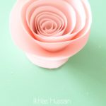 Ombre Roses Shadow Box