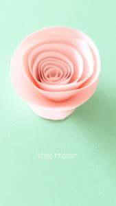 Ombre Roses Shadow Box