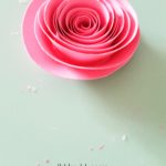 Ombre Roses Shadow Box