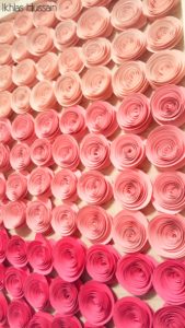 Ombre Roses Shadow Box 8